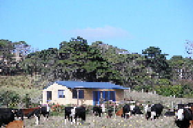 Marrawah TAS Accommodation Coffs Harbour