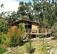 Southern Forest Accommodation - Accommodation Coffs Harbour