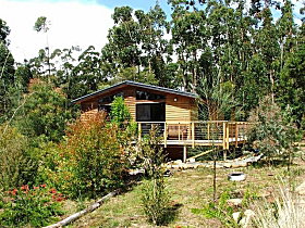 Southern Forest Accommodation - Accommodation Coffs Harbour 0
