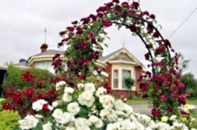 Golden Embers Apartments And B And B - Accommodation Coffs Harbour 0
