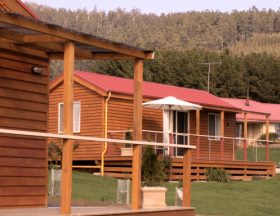 Maydena Country Cabins Accommodation & Alpaca Stud - Accommodation Coffs Harbour 0