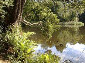 Weldborough Camping Ground - Accommodation Coffs Harbour 0