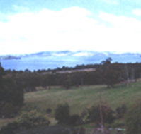 Waterview Gardens - Accommodation Coffs Harbour