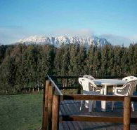 White Hawk Accommodation - Accommodation Coffs Harbour