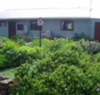 Engadine Cottage - Accommodation Coffs Harbour