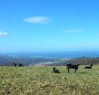 St Marys Seaview Farm - Accommodation Coffs Harbour
