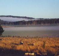Fonthill - Accommodation Coffs Harbour