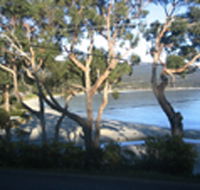 Bruny Island Retreat - Accommodation Coffs Harbour