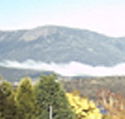 Lindisfarne Motor Inn - Accommodation Coffs Harbour