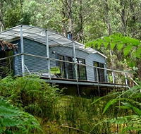 Huon Bush Retreats - Accommodation Coffs Harbour
