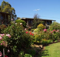 Mole Creek Holiday Village - Accommodation Coffs Harbour