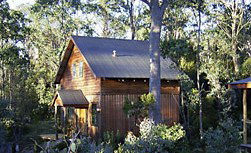 Cradle Mountain Highlanders - Accommodation Coffs Harbour 1
