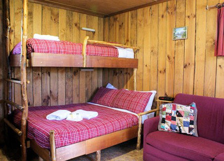 Cradle Mountain Highlanders - Accommodation Coffs Harbour 4