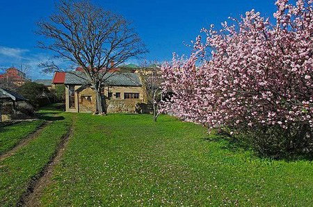 Forget-Me-Not Cottage - Accommodation Coffs Harbour 3