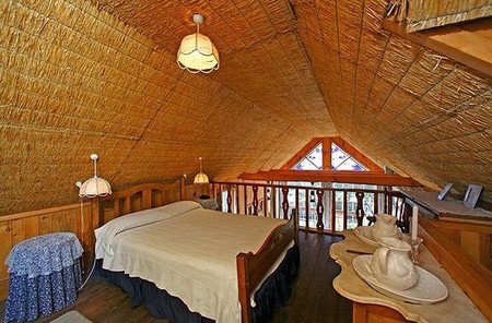 Forget-Me-Not Cottage - Accommodation Coffs Harbour 4