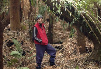 Forest Walks Lodge - Eco-Accommodation - Accommodation Coffs Harbour 3