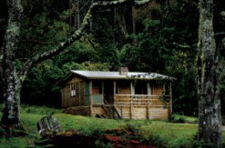 Mountain Valley Wilderness Holidays - Accommodation Coffs Harbour 1