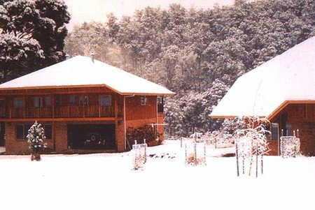Stringy Bark Holiday Accommodation - Accommodation Coffs Harbour 1