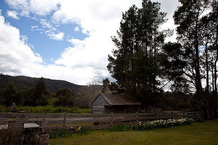 Gowrie Park Wilderness Village - Accommodation Coffs Harbour 5