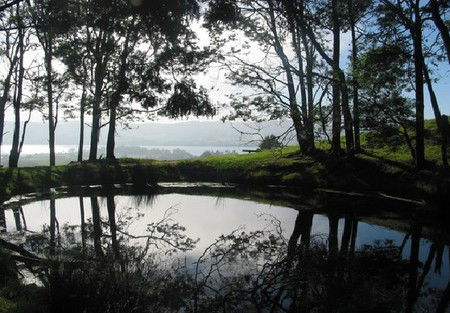 Camellia Cottage At Maple Hill - Accommodation Coffs Harbour 2