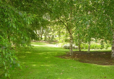 Camellia Cottage At Maple Hill - Accommodation Coffs Harbour 3