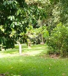 Kingfisher Park Birdwatchers Lodge - Accommodation Coffs Harbour 0