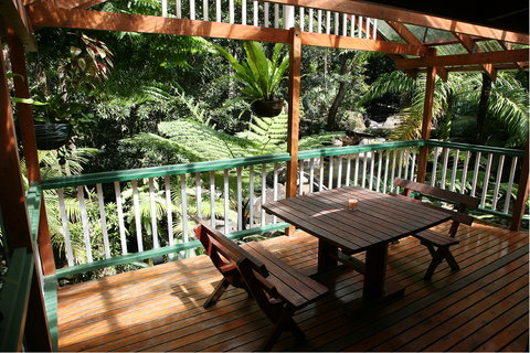 Daintree Secrets (Award Winning Retreat) - Accommodation Coffs Harbour 3