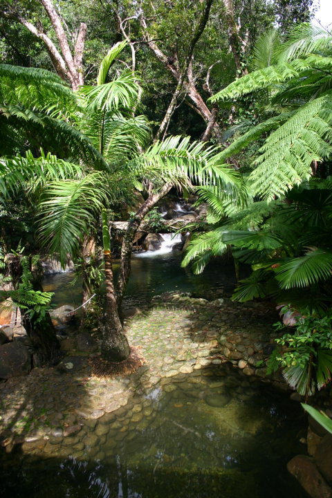 Daintree Secrets (Award Winning Retreat) - Accommodation Coffs Harbour 4