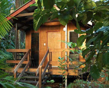 Cape Trib Beach House YHA - Accommodation Coffs Harbour 4
