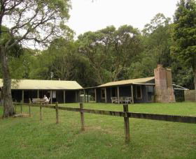 Tree Fern Lodge - Accommodation Coffs Harbour 0