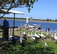 Mountain View Caravan and Mobile Home Village - Accommodation Coffs Harbour
