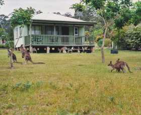 Berringer Lake Holiday Cottages - Accommodation Coffs Harbour 0