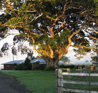 Arley Farm The Old Dairy - Accommodation Coffs Harbour