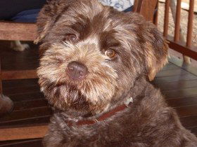 Lagoon Pocket Bed And Breakfast - Accommodation Coffs Harbour 0