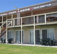 Coral Tree Lodge Tourist Park - Accommodation Coffs Harbour