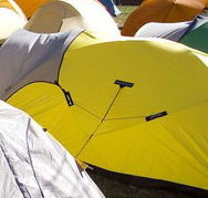 Exhibition Park in Canberra EPIC Camping Facilities - Accommodation Coffs Harbour