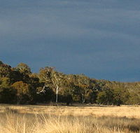 Namadgi National Park - Accommodation Coffs Harbour