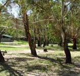 Woods Reserve - Accommodation Coffs Harbour