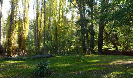 Old England Accommodation - Accommodation Coffs Harbour 2