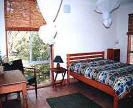 Wonga - Accommodation Coffs Harbour 1