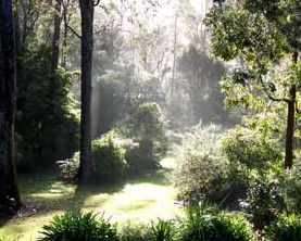 Casuarina Holiday Cottages - Accommodation Coffs Harbour 1