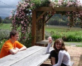 Back Forest Retreat - Accommodation Coffs Harbour 1