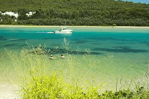 Wooli Camping and Caravan Park - Accommodation Coffs Harbour
