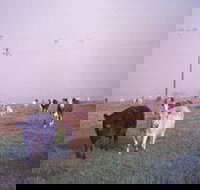 Seeview Farmstay - Accommodation Coffs Harbour