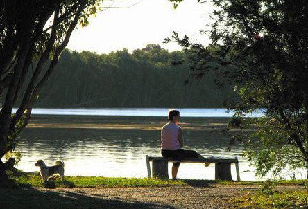 Fishing Haven Caravan Park - Accommodation Coffs Harbour 2