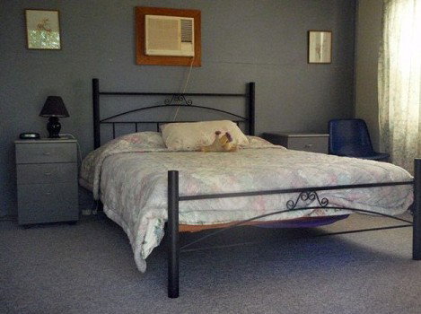 Comeroo Camel Station - Accommodation Coffs Harbour 0