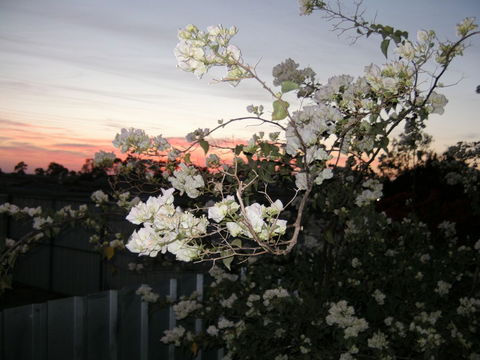 Sonjas Bed And Breakfast - Accommodation Coffs Harbour 2