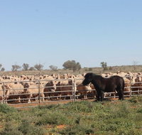 Pimpara Lake StationStay - Accommodation Coffs Harbour