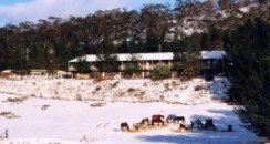 Cooba Holiday Motel - Accommodation Coffs Harbour 2