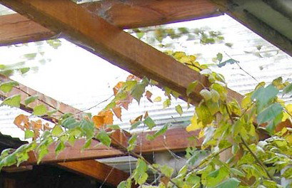 Cooma Bunkhouse Motel - Accommodation Coffs Harbour 2